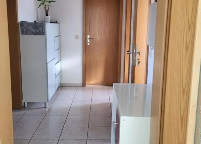 Erdmaennchen * Bellenberg