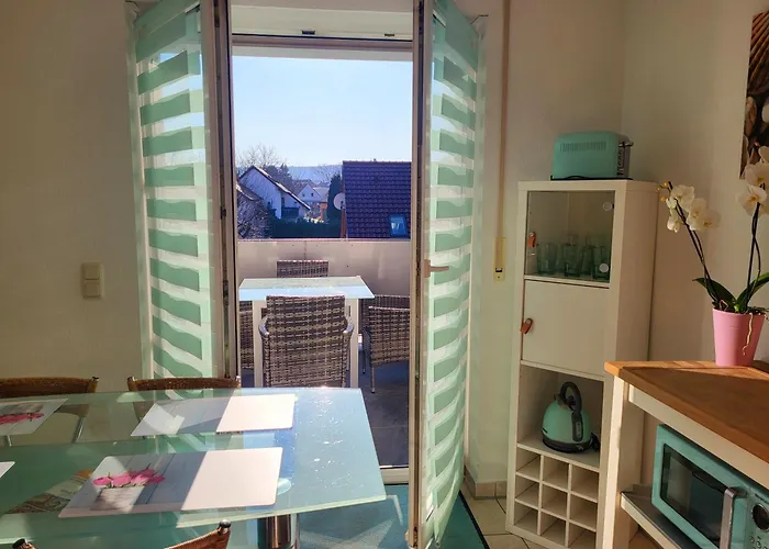 Erdmaennchen * Bellenberg