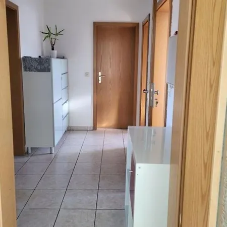 Erdmaennchen * Bellenberg