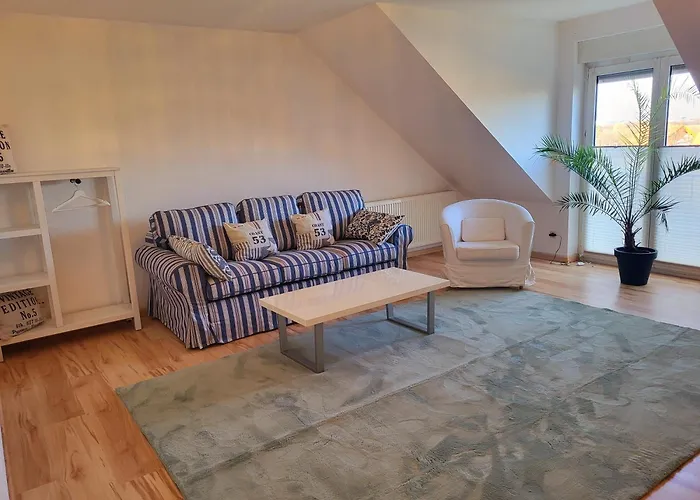 Erdmaennchen Bellenberg