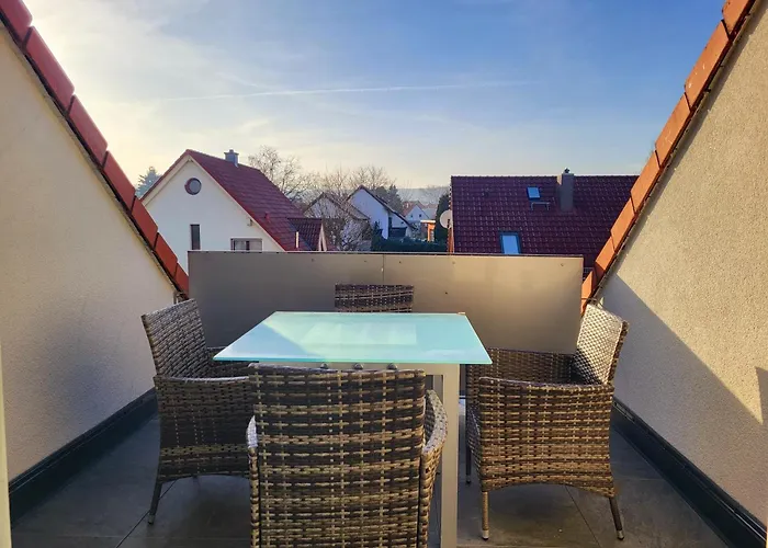 Erdmaennchen Bellenberg